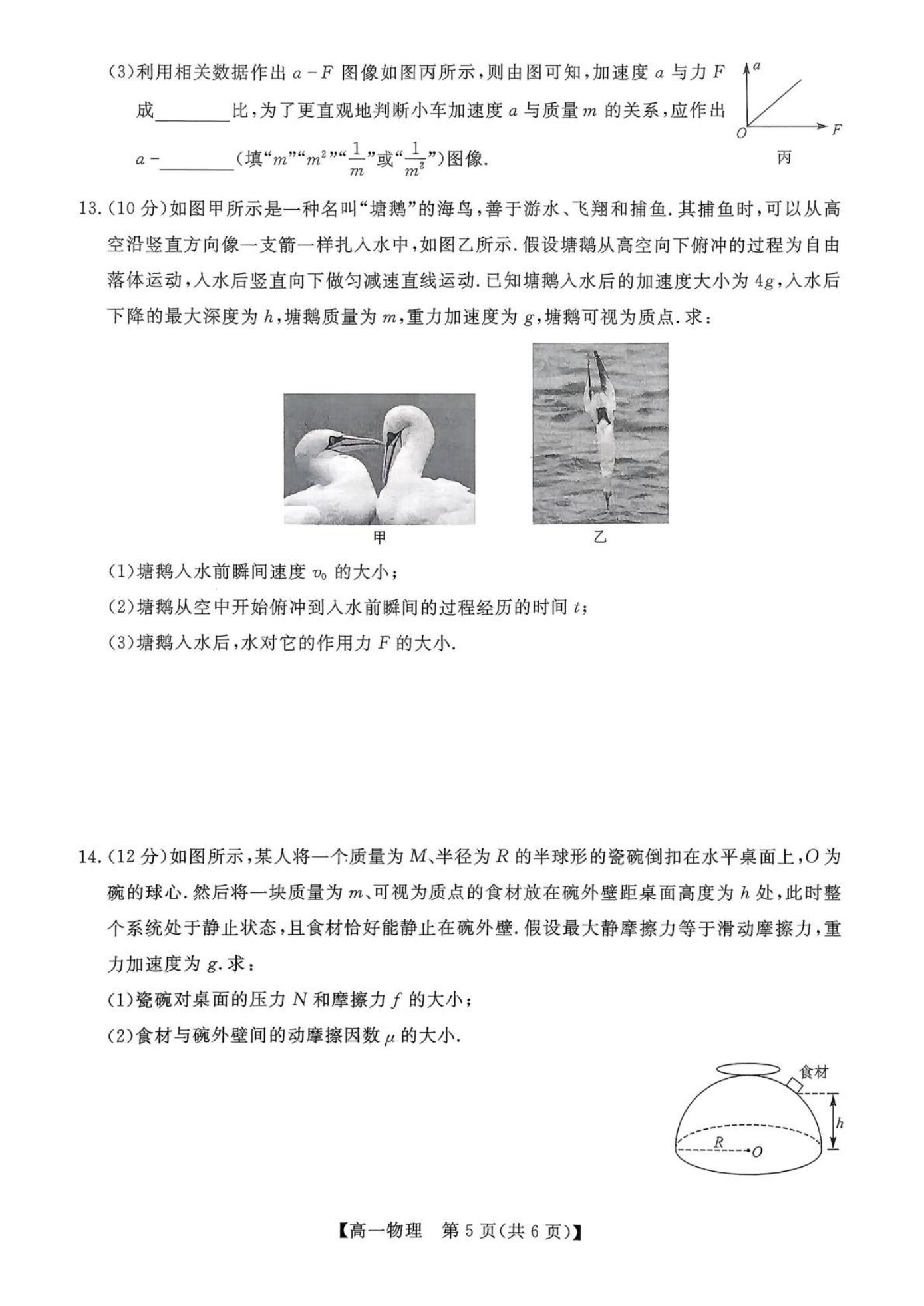 广西北海市2025-2026学年高一上学期期末教学质量检测物理试卷（含解析）_05